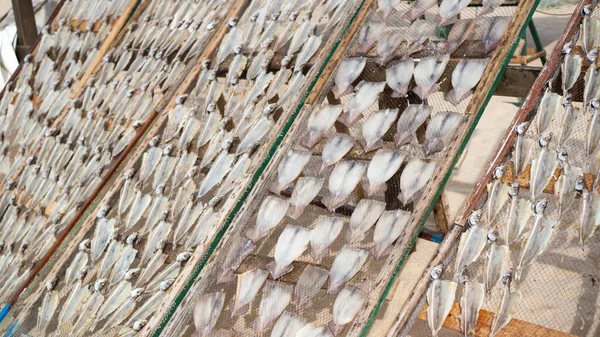 El pez portugués tradicional seco en la red en el marco de madera. Nazare pescado seco en la playa de arena — Foto de Stock