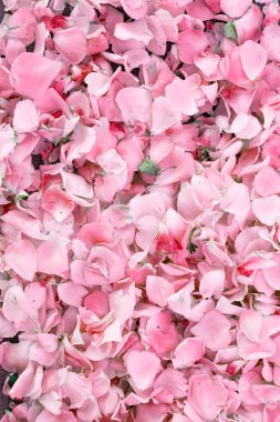 Kabarık çiçekli arka plan. Bahar çiçeği konsepti. Tasarım için. Doğa. Bahar arkaplanı