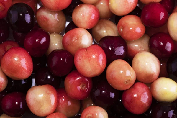 Yapraklı ve saplı bir sürü kiraz. Büyük bir taze kiraz koleksiyonu. Olgun kiraz arka planı. Kiraz. Sarı kiraz