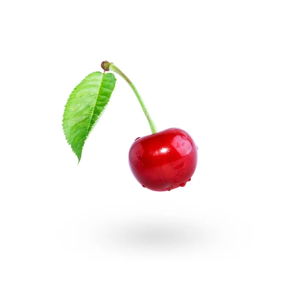 葉と茎を持つ白い背景のチェリーで隔離された葉を持つ赤いジューシーなチェリー 夏の味覚 — ストック写真