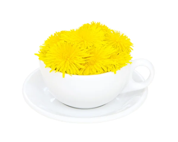 Dandelions ile beyaz fincan — Stok fotoğraf