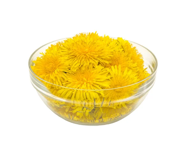 Dandelions ile kase — Stok fotoğraf