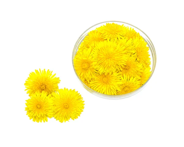 Bowl with dandelions — Stock Photo, Image