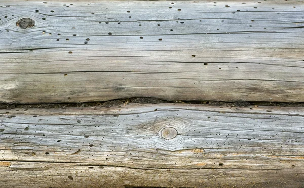 Holzstruktur — Stockfoto