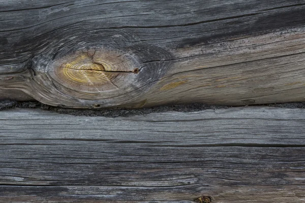 Wood texture — Stock Photo, Image