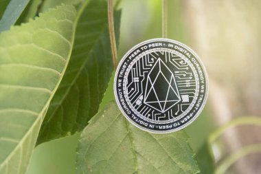 Ana tahta seçici odaklı Bitcoin, Blok zinciri alışverişi yumuşak odaklı aktarıyor.