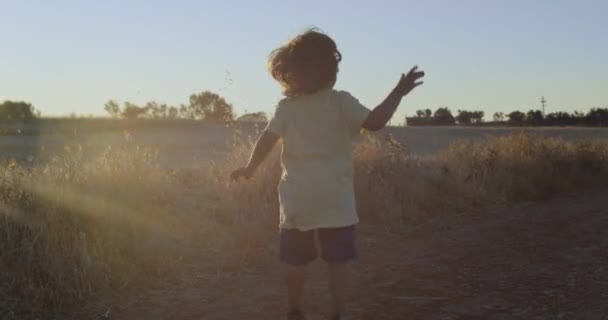 Емоційний Щасливий Маленький Хлопчик Біжить Через Пшеничне Поле Заходу Сонця — стокове відео
