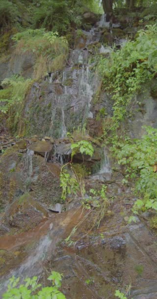 Beautiful Waterfall Spanish Pyrenees Aran Valley Vertical Video — Stock videók