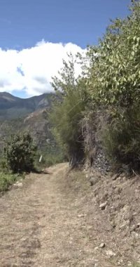 Summer landscape in Val D Aran, Lleida, Pyrenees, Spain