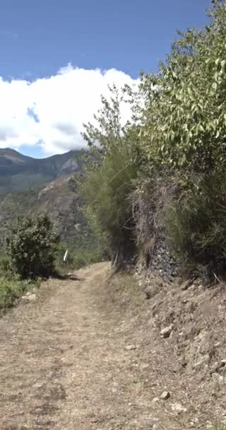 Summer Landscape Val Aran Lleida Pyrenees Spain — Stockvideo