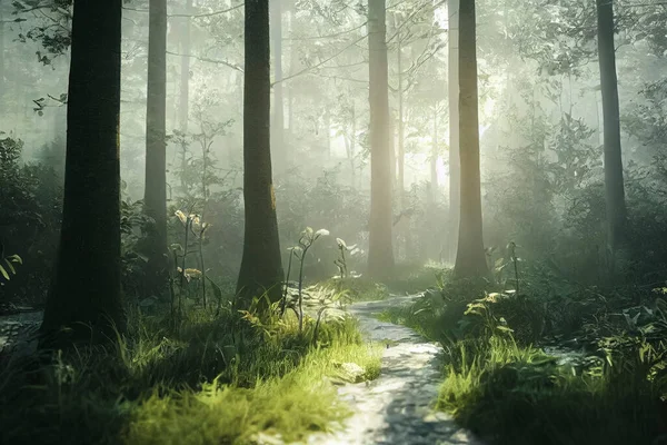 beautiful magic forest in the sunny foggy view