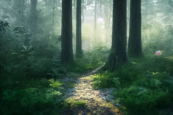 beautiful magic forest in the sunny foggy view