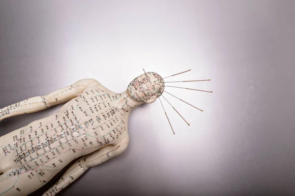 Akupunktur Noktaları Meridyenli Manken Stok Resim