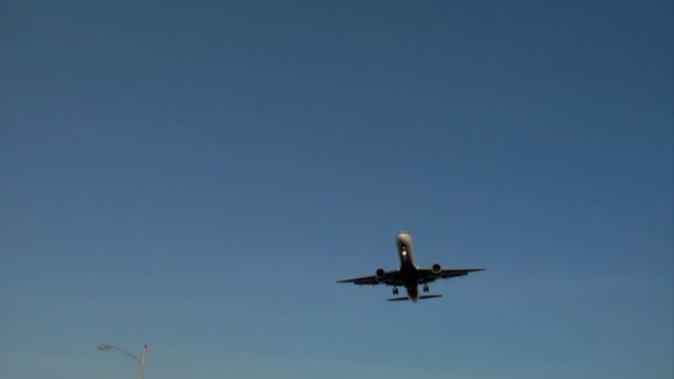 Flugzeug landet bei Sonnenuntergang — Stockvideo