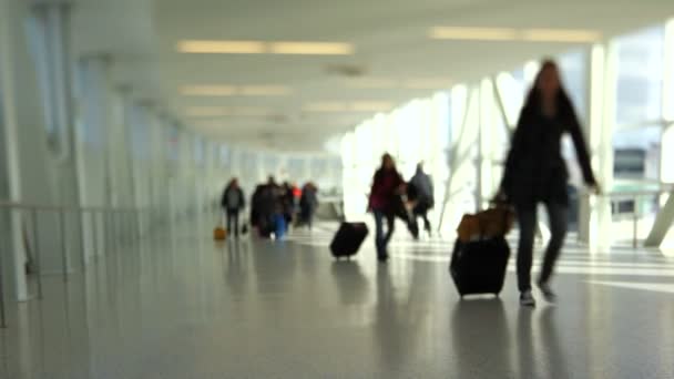 Airport Travelers People Tilt Shift — Stock Video