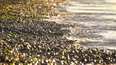 Beach küçük dalgalar