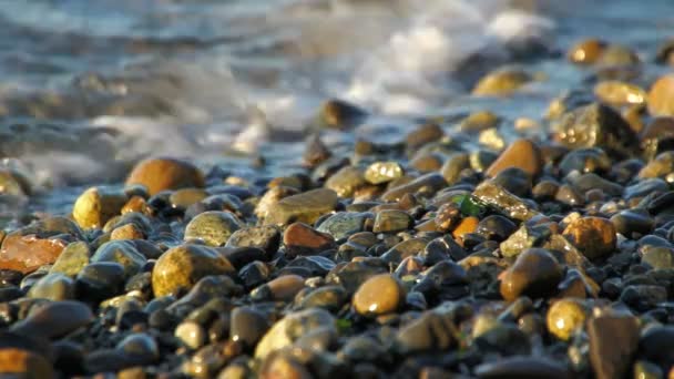 Beach küçük dalgalar — Stok video