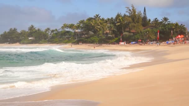 Praia Ondas Surf Competition — Vídeo de Stock