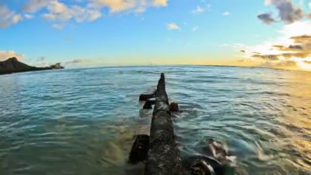 Klip na pláži při západu slunce — Stock video