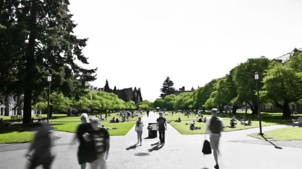 Clip de lapso de tiempo del tráfico peatonal del campus — Vídeos de Stock