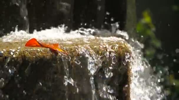 Seattle city fountain clip. — Stock Video