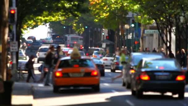 Stad voetgangers lopen door in de stad — Stockvideo