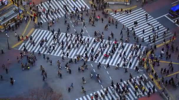 Cidade tráfego de pedestres de pessoas — Vídeo de Stock