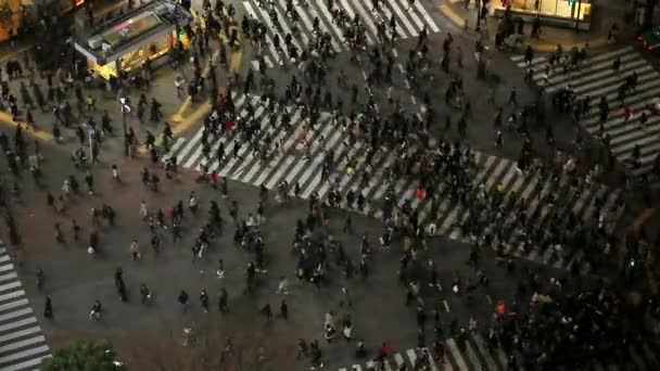 Famoso cruzamento de Shibuya à noite em Tóquio . — Vídeo de Stock