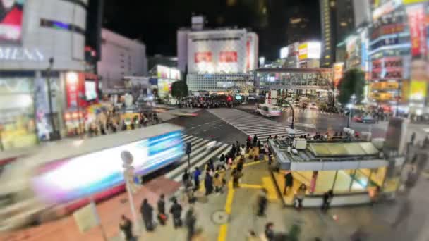 City Pedestrian Traffic Time Lapse — Stock Video