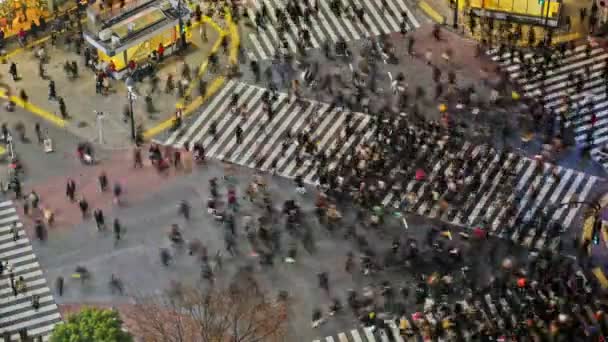 Shibuya του Τόκιο παραπάνω — Αρχείο Βίντεο