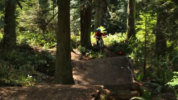 Ciclista de montaña va sobre saltos — Vídeo de stock