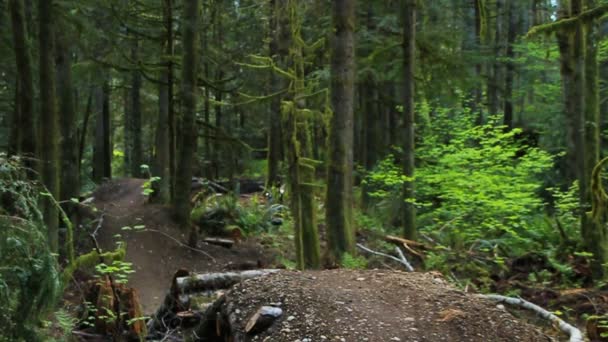 Ciclista de montaña va sobre saltos — Vídeo de stock