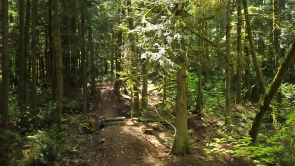 VTT aller sur les sauts 