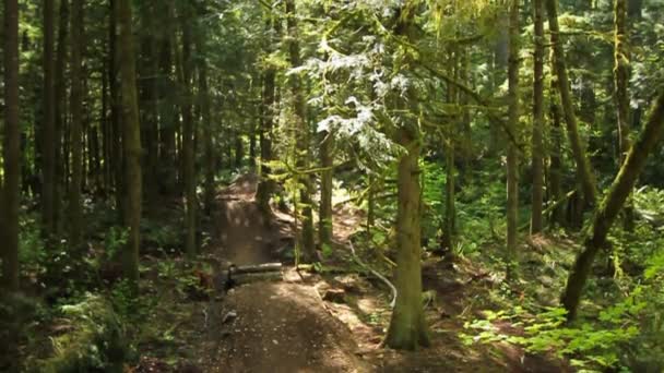 Ciclista de montaña va sobre saltos — Vídeos de Stock