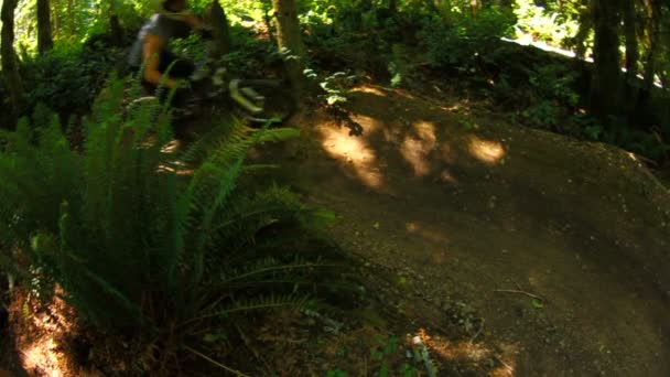 Mountain biker riding trail — Stock Video