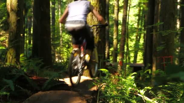 Ciclista de montaña va sobre saltos — Vídeo de stock