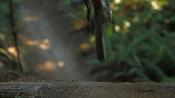 Dağ bisikletçinin atlama yapıyor — Stok video