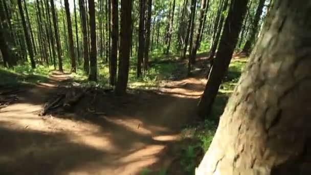 Mountainbiker fährt über Sprünge — Stockvideo
