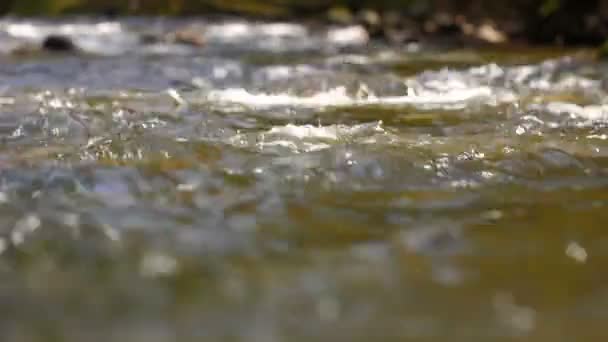 Yaz aylarında bir nehir çekim — Stok video