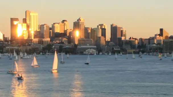 Sailboats sailing on Lake Union — Stock Video