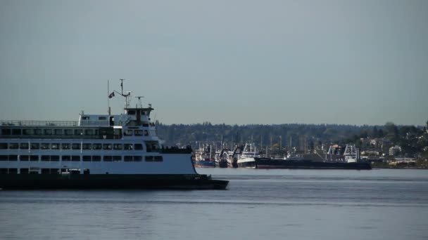 Seattle veerboot passerende — Stockvideo