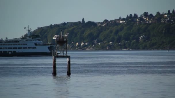 Seattle ferry passing by — Stock Video