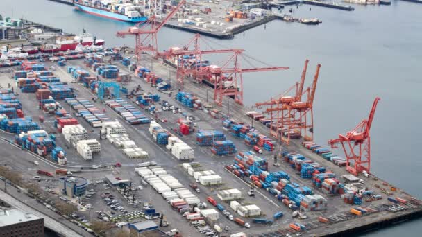 Seattle shipyard — Stock Video