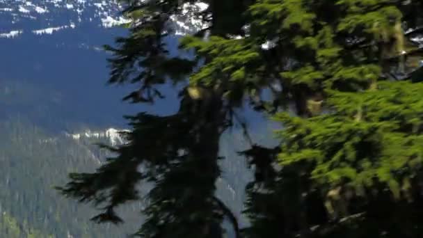 Ski lift ride clip passing trees with mountainside — Stock Video