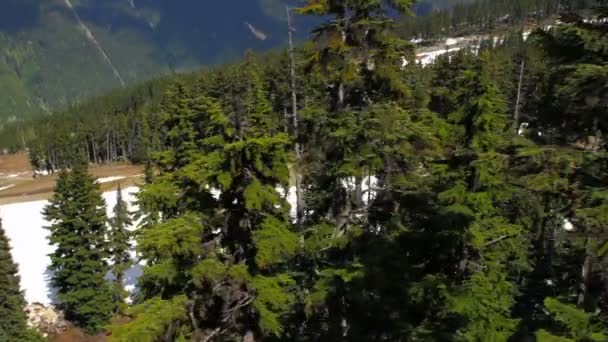 Ski lift ride clip passing trees with mountainside — Stock Video