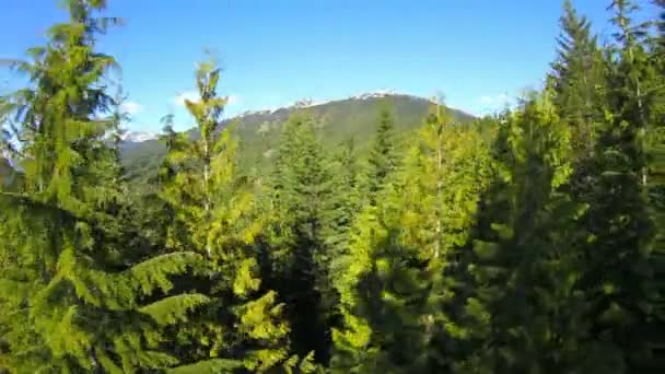 Pince de remontée mécanique passant des arbres à flanc de montagne 