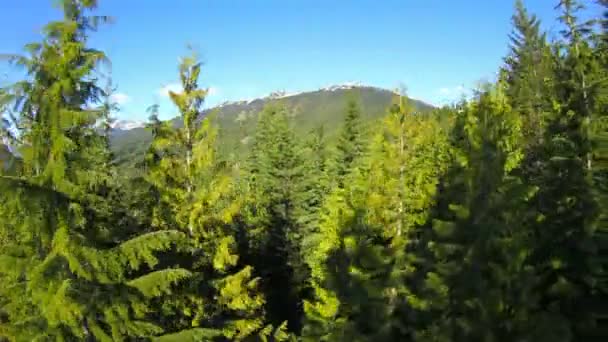 Paseo en telesilla clip pasando árboles con ladera de montaña — Vídeo de stock