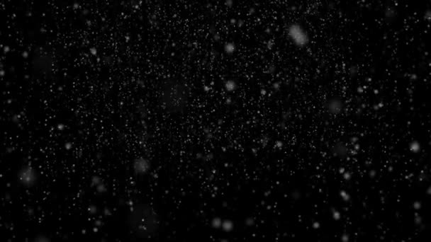 静かな雪の背景 — ストック動画