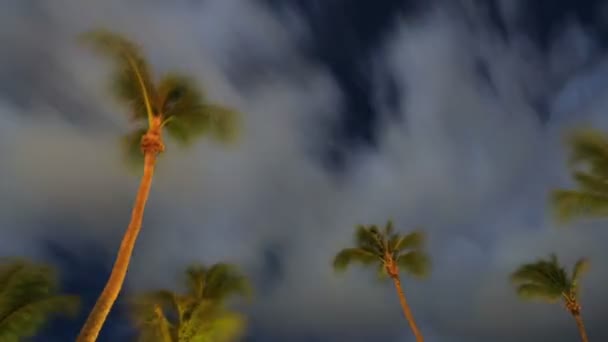 Star Time Lapse  Aruba — Stock Video