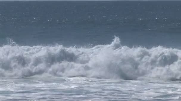 Surfer catching a wave — Stock Video